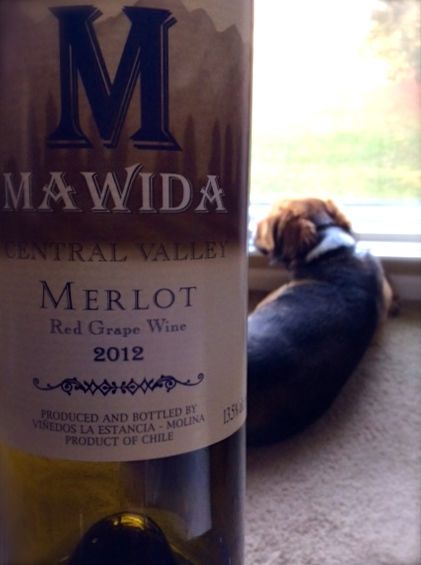 2012 Mawida Merlot, Central Valley, Chile.