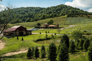Linville Falls Winery, Newland, NC. Photo credit: J.W. Fulton
