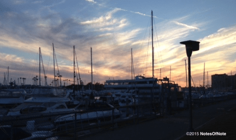 2012 Pannunzio GV Giovanni Vincenzo Malbec, Mendoza, Argentina.